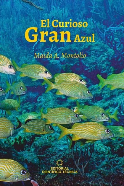 El curioso gran azul by Maida Asela Montolio Fernández