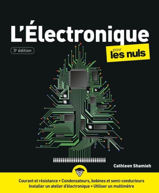 L'électronique Pour les Nuls, 3e by Cathleen Shamieh