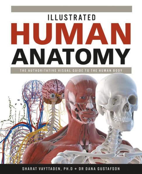 Illustrated Human Anatomy: The Authoritative Visual Guide to the Human Body by Sharat Vayttaden PhD