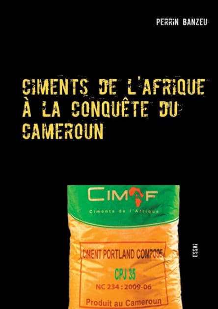 Ciments de l'afrique à la conquête du cameroun: Essai by Perrin Banzeu