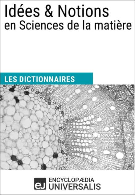 Dictionnaire des Idées & Notions en Sciences de la matière: Les Dictionnaires d'Universalis by Encyclopaedia Universalis