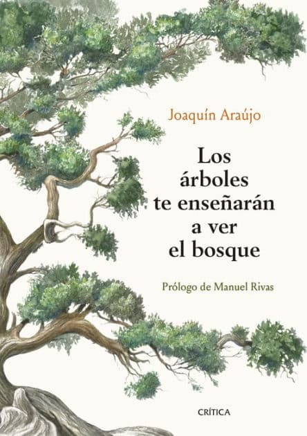 Los árboles te enseñarán a ver el bosque: Prólogo de Manuel Rivas by Joaquín Araújo