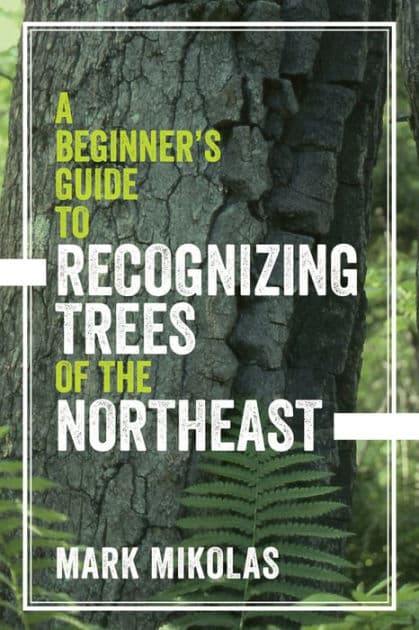 A Beginner's Guide to Recognizing Trees of the Northeast by Mark Mikolas