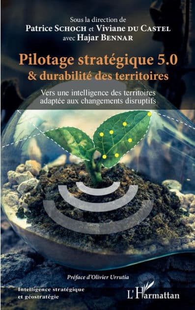 Pilotage stratégique 5.0 et durabilité des territoires: Vers une intelligence des territoires adaptée aux changements disruptifs by Patrice Schoch