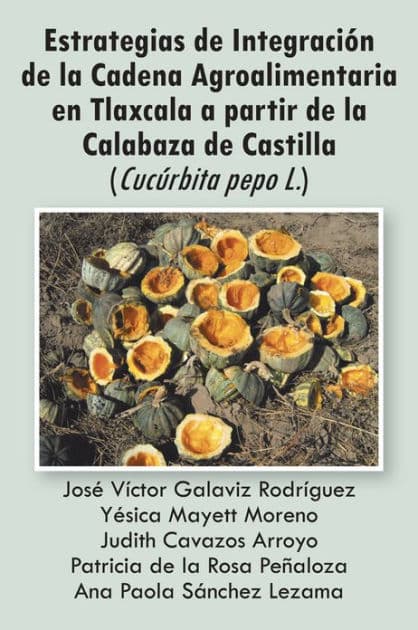 Estrategias de Integración de la Cadena Agroalimentaria en Tlaxcala a partir de la Calabaza de Castilla (Cucúrbita pepo L.) by Varios autores