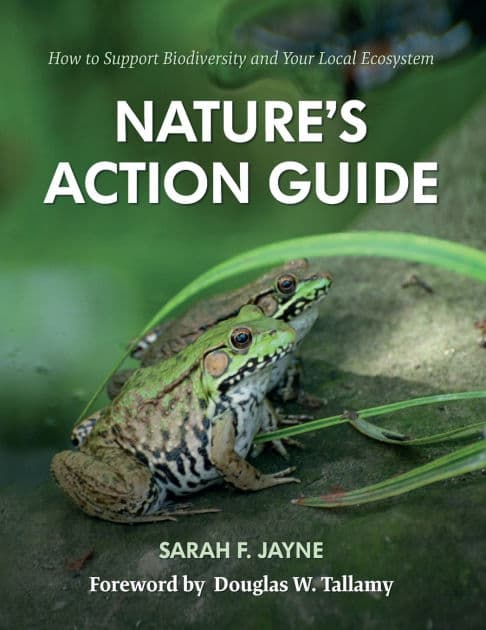 Nature's Action Guide: How to Support Biodiversity and Your Local Ecosystem by Sarah F. Jayne