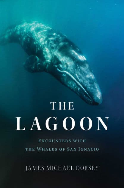 The Lagoon: Encounters with the Whales of San Ignacio by James Michael Dorsey