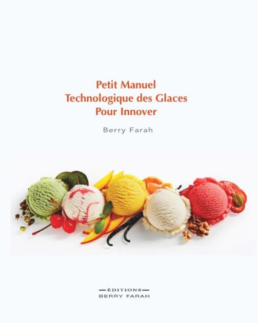 Petit manuel technologique des glaces pour innover by Berry Farah