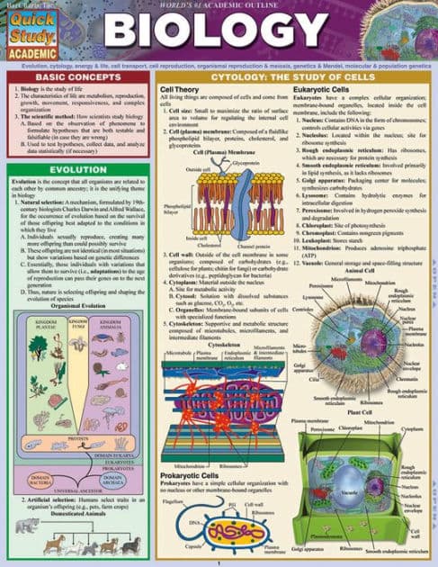 Biology: a QuickStudy Laminated Reference Guide by Randy Brooks