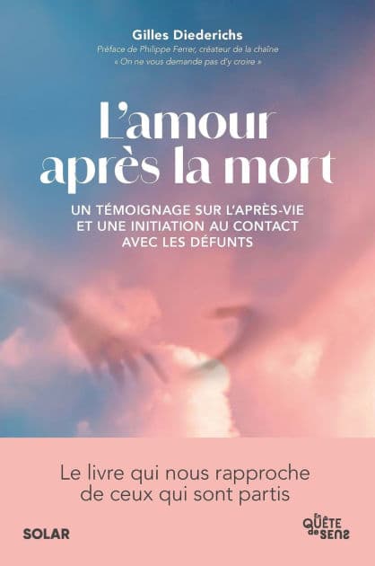 L'amour après la mort by Gilles Diederichs