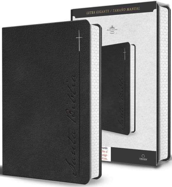 Biblia RVR 1960 Letra gigante, símil piel, gris (Edición cantos pintados) / Spanish Bible RVR 1960 Giant Print Handy Size Leathersoft Gray with cross by Reina Valera Revisada 1960