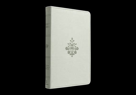 ESV Large Print Value Thinline Bible (TruTone, River Stone, Branch Design) by Crossway