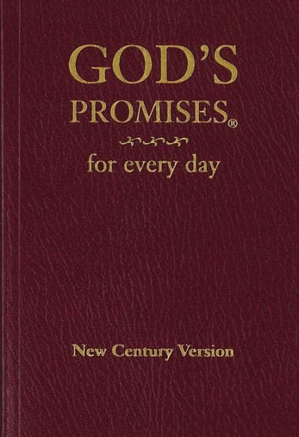 God's Promises for Every Day: Bible Verses for All Seasons of Life - The Perfect Christian Father's Day Gifts for Dad by Thomas Nelson