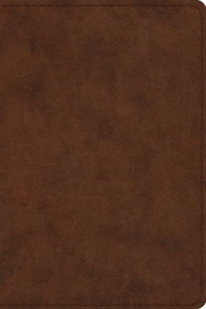 ESV Study Bible, Personal Size (TruTone, Brown) by Crossway