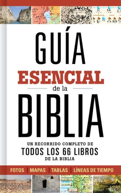 Guía esencial de la Biblia: Un recorrido completo de todos los 66 libros de la Biblia by B&amp;H Español Editorial Staff