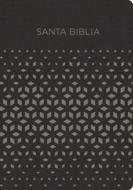 RVR 1960 Biblia para regalos y premios, negro/plata símil piel by B&amp;H Español Editorial Staff