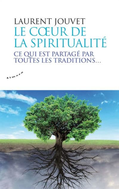 Le coeur de la spiritualité - Ce qui est partagé par toutes les traditions by Laurent Jouvet