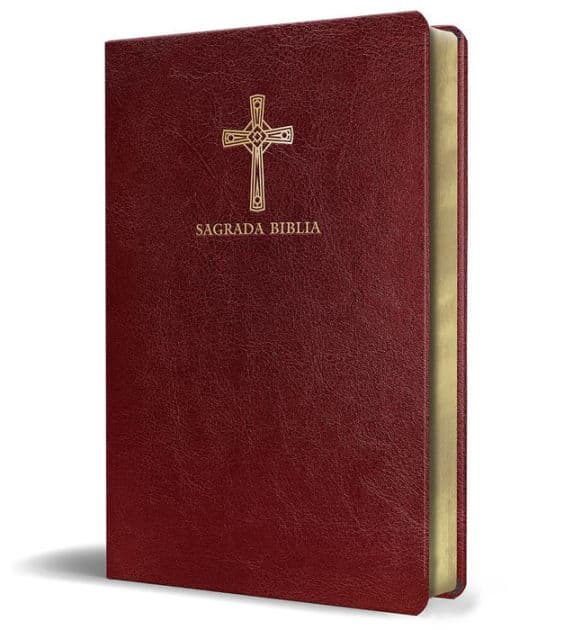 Biblia Católica en español. Símil piel vinotinto, tamaño compacto / Catholic Bible. Spanish-Language, Leathersoft, Wine, Compact by Biblia de América