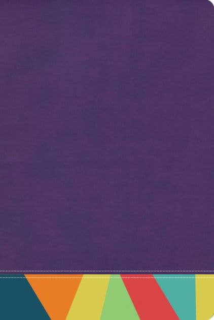 RVR 1960 Biblia de Estudio Arcoíris, morado/multicolor by B&amp;H Español Editorial Staff