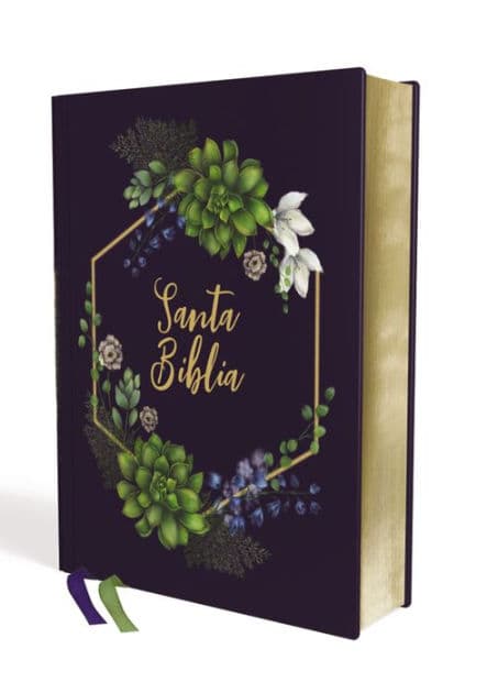 NVI, Santa Biblia, Revisión 2022, Edición Artística, Tapa Dura/Tela, Arte con bordes dorados, Palabras de Jesús en Rojo, Comfort Print by Nueva Versión Internacional