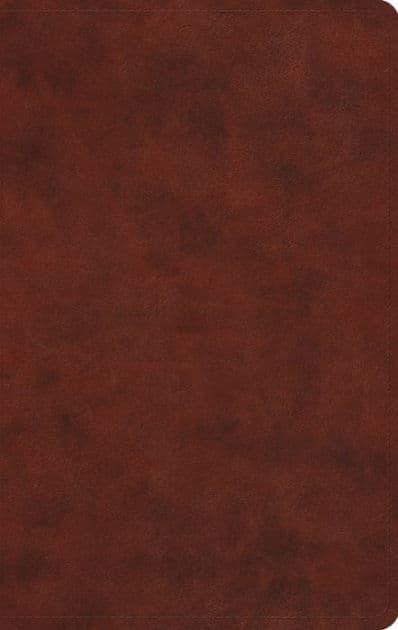 ESV Large Print Value Thinline Bible (TruTone, Chestnut) by Crossway