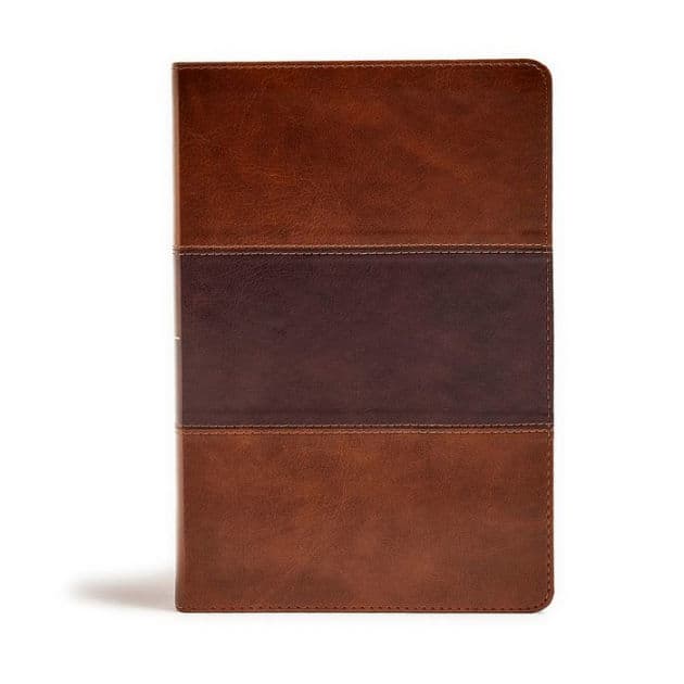 KJV Giant Print Reference Bible, Saddle Brown LeatherTouch by Holman Bible Publishers