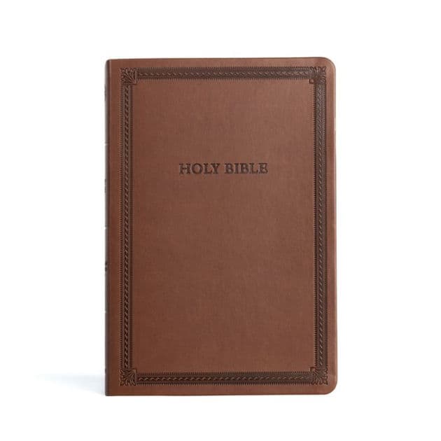 CSB Large Print Thinline Bible, Value Edition, Brown LeatherTouch by CSB Bibles by Holman