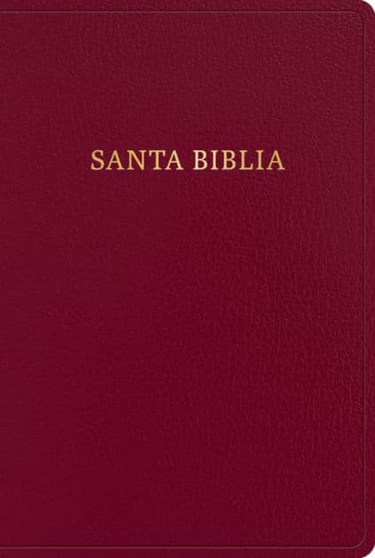 RVR 1960 Biblia letra gigante, borgoña imitación piel (Edición 2023): Santa Biblia by B&amp;H Español Editorial Staff