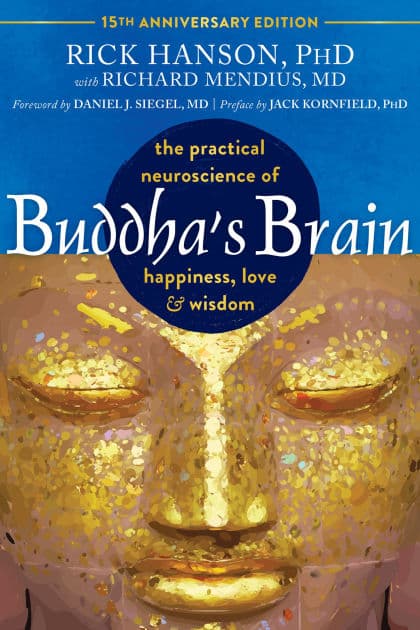 Buddha's Brain: The Practical Neuroscience of Happiness, Love, and Wisdom by Rick Hanson PhD