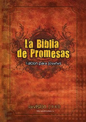 Santa Biblia de Promesas Reina-Valera 1960 / Edición de jóvenes / Tapa Dura // Spanish Promise Bible RVR 1960 / Youth Edition / Hardback by Editorial Unilit