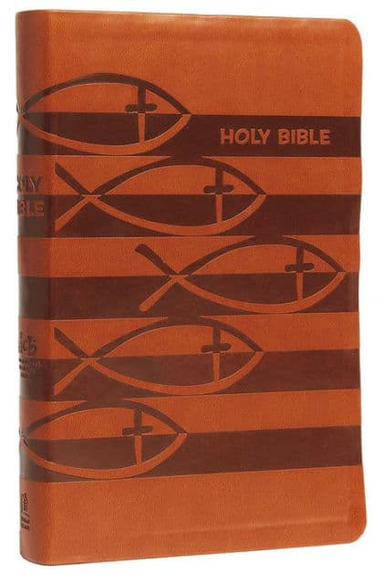 ICB, Holy Bible, Leathersoft, Brown: International Children's Bible by Thomas Nelson