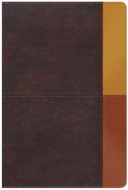 RVR 1960 Biblia de Estudio Arcoíris, cocoa/ terracota símil piel con índice by B&amp;H Español Editorial Staff