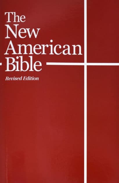 World Student Bible: New American Bible (NABRE) by Confraternity of Christian Doctrine