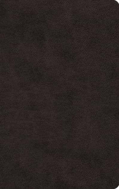 ESV Large Print Value Thinline Bible (TruTone, Black) by Crossway