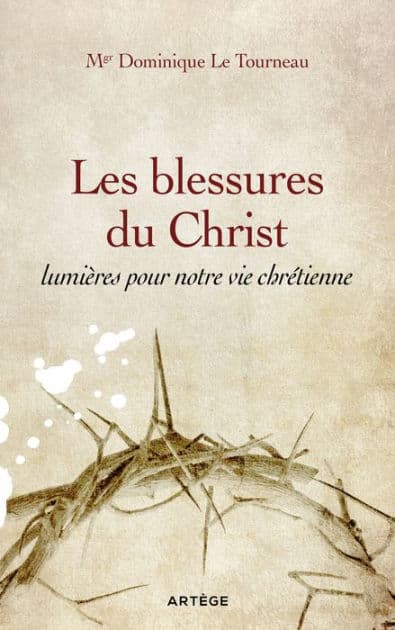 Les blessures du Christ, lumières pour notre vie chrétienne by Mgr Dominique Le Tourneau