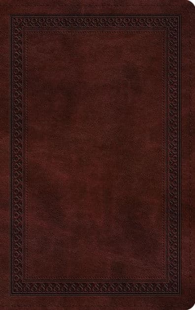 ESV Thinline Bible, Red Letter (TruTone, Mahogany, Border Design) by Crossway