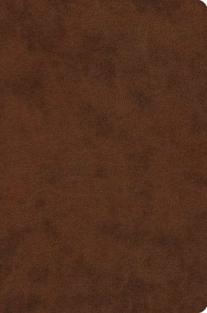 ESV Value Compact Bible (TruTone, Brown) by Crossway