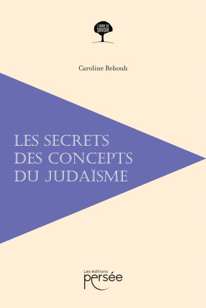 Les secrets des concepts du judaïsme by Caroline Rebouh