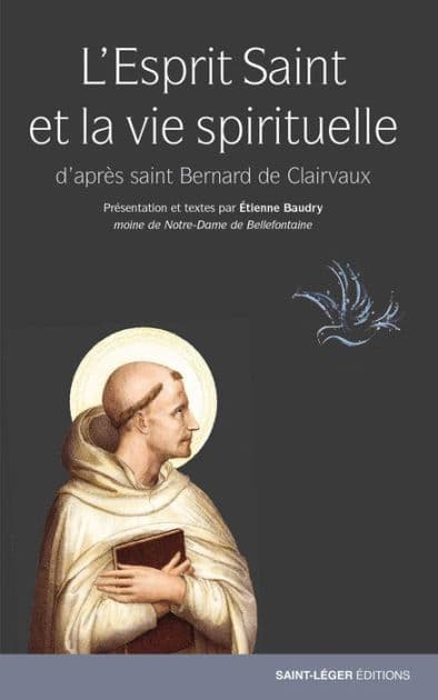 L'Esprit Saint et la vie spirituelle: D'après saint Bernard de Clairvaux by Etienne Baudry