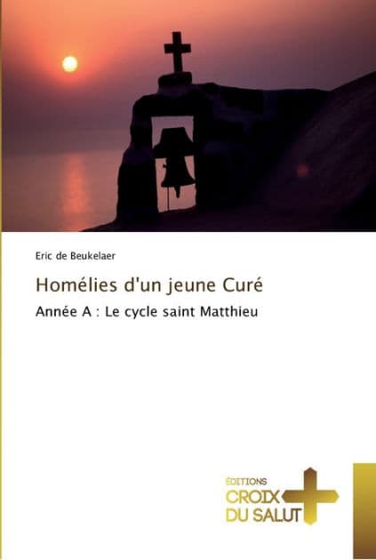 Homélies d'un jeune Curé by de Beukelaer Eric