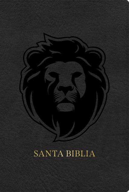 RVR 1960 Biblia letra grande tamaño manual edición especial, ceniza, símil piel by B&amp;H Español Editorial Staff