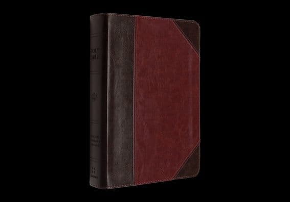 ESV Reader's Bible (TruTone, Brown/Cordovan, Portfolio Design) by Crossway