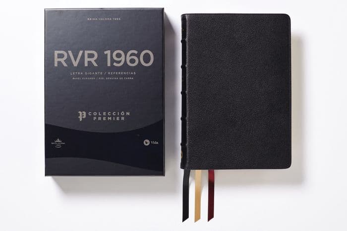 Reina Valera 1960 Biblia Letra Gigante, Colección Premier, Negro, Interior a dos colores by Vida