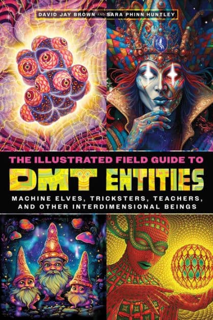 The Illustrated Field Guide to DMT Entities: Machine Elves, Tricksters, Teachers, and Other Interdimensional Beings by David Jay Brown