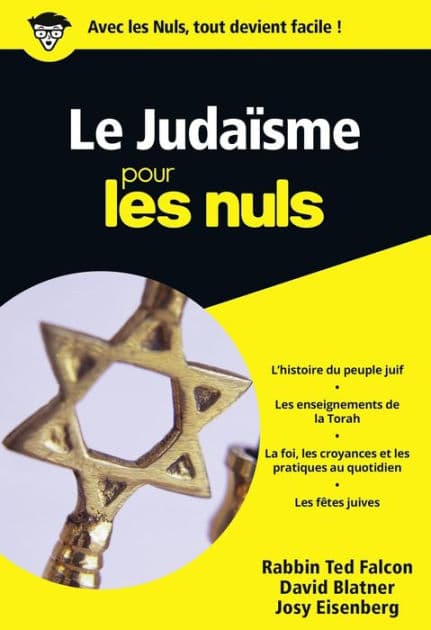 Le Judaïsme Pour les Nuls, édition poche by Ted Falcon