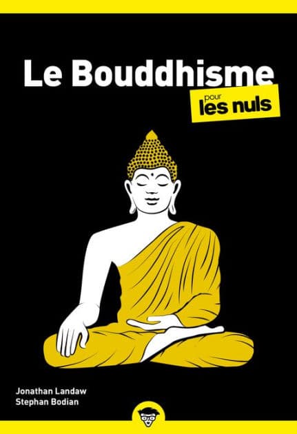 Le Bouddhisme pour les Nuls, poche, 2e éd by Stephan Bodian