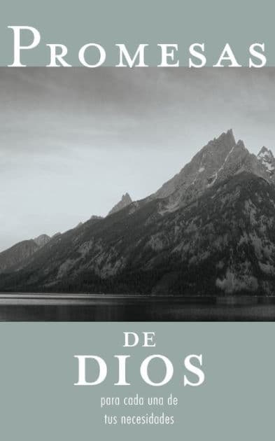 Promesas de Dios para cada una de tus necesidades by Jack Countryman