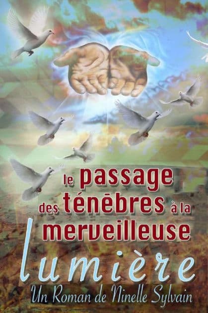Le passage des tï¿½nï¿½bres ï¿½ la merveilleuse lumiï¿½re by Ninelle Sylvain