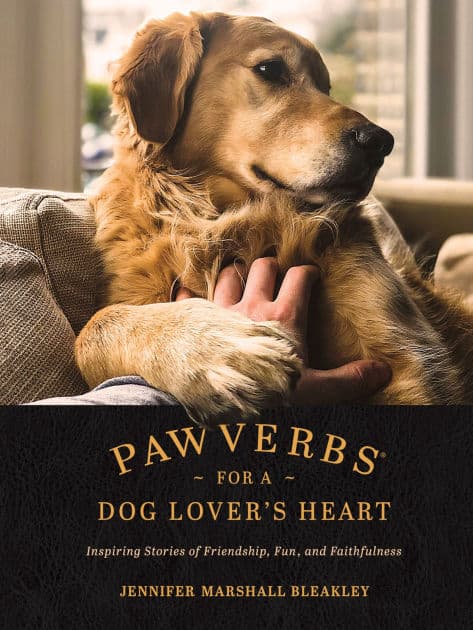 Pawverbs for a Dog Lover's Heart: Inspiring Stories of Friendship, Fun, and Faithfulness by Jennifer Marshall Bleakley