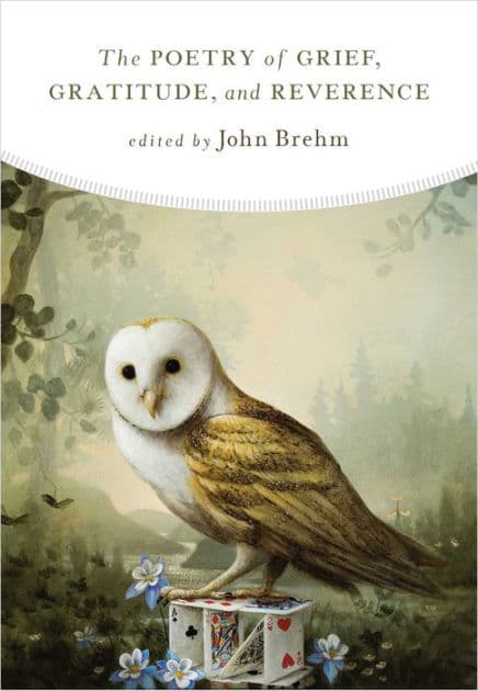 The Poetry of Grief, Gratitude, and Reverence by John Brehm